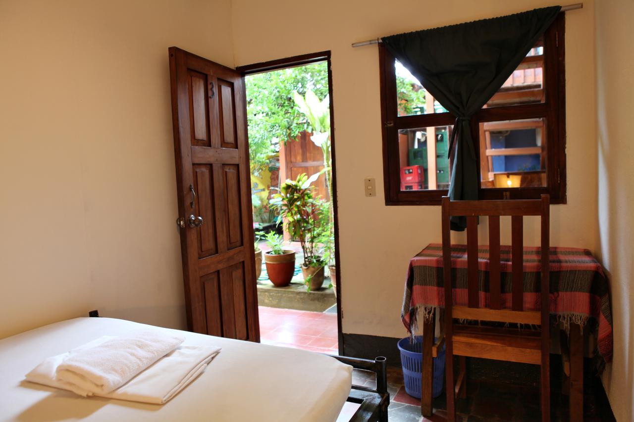 Hostal La Tortuga Booluda Leon Exterior photo